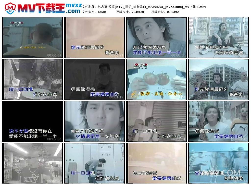 林志颖-芹菜(MTV)_国语_流行歌曲_MA304928